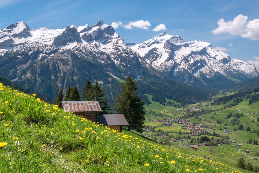 Zdjęcie: Berner Oberland