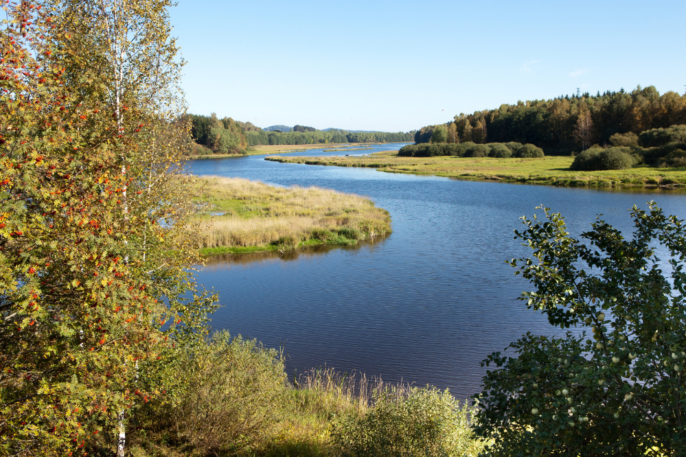 Jezioro Lipno