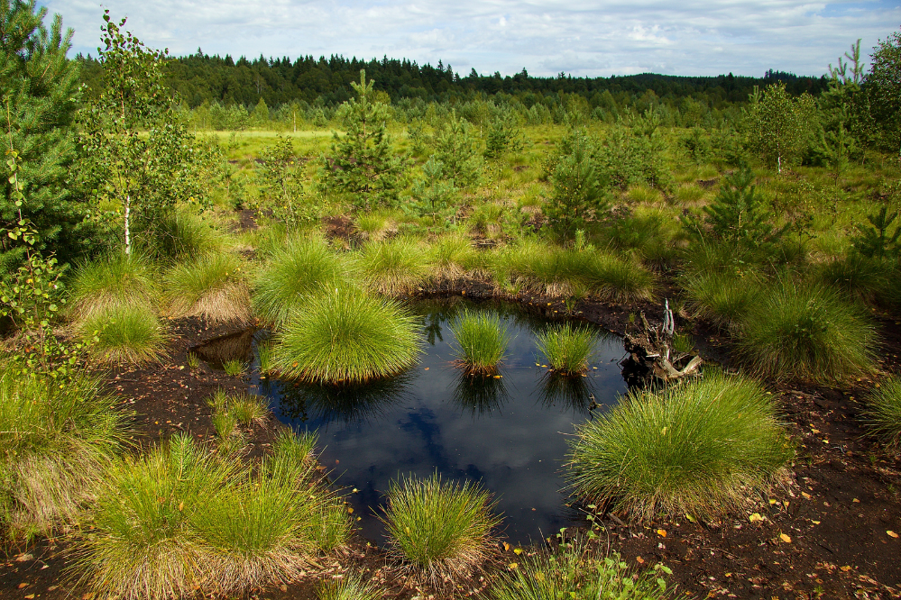 Bagno Szumawa