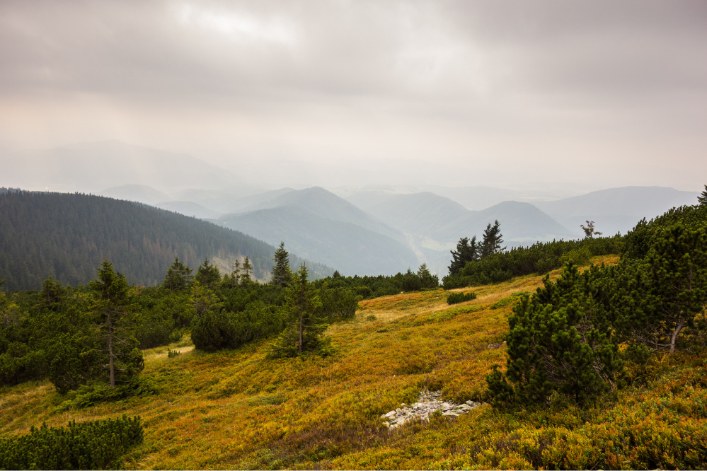 Zdjęcie: Niżne Tatry
