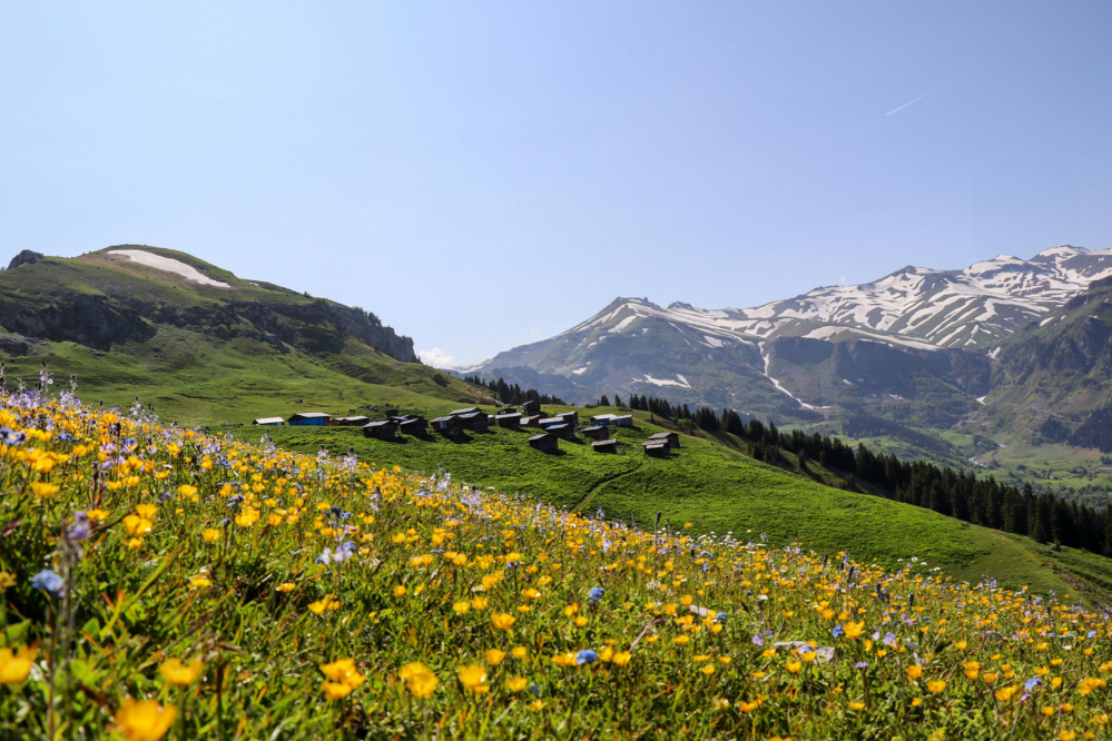 Zdjęcie: Appenzell