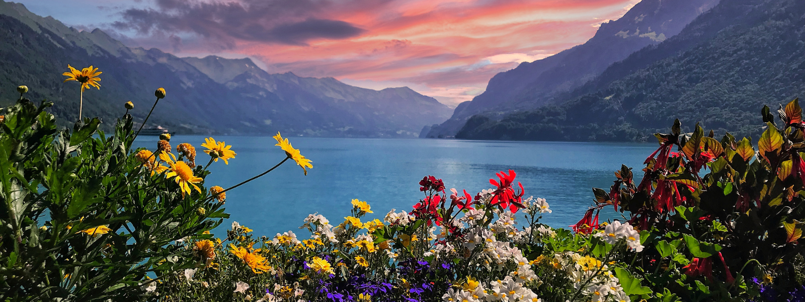 Interlaken Szwajcaria - widok na góry, kwiaty i jezioro